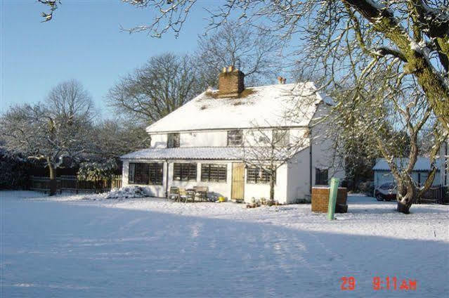 The White House Bed & Breakfast Takeley Exterior photo